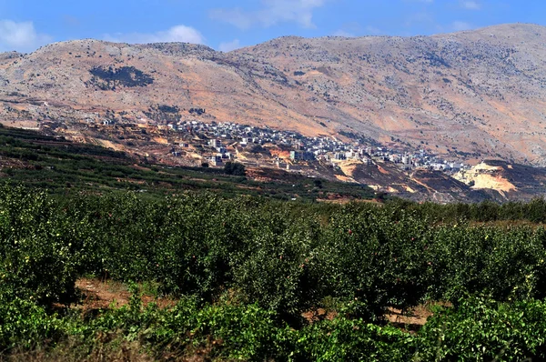 Reisefotos von israel - golanische Höhen — Stockfoto