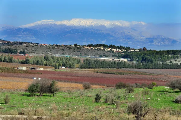 Res bilder av israel - berget hermon — Stockfoto