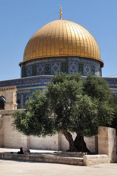 Φωτογραφίες ταξίδια Ισραήλ - Ιερουσαλήμ — Φωτογραφία Αρχείου