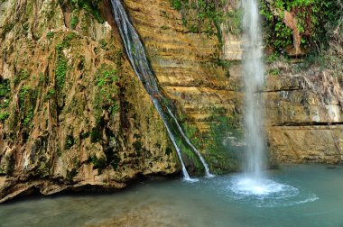 İsrail - fotoğraf seyahat ein gedi bahar