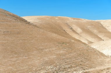 Fotoğraflar İsrail - judean desert seyahat