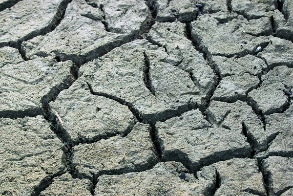 Weather Photos - Drought — Stock Photo, Image