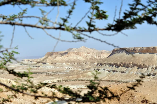 Cestování fotografie Izrael - Negevská poušť — Stock fotografie