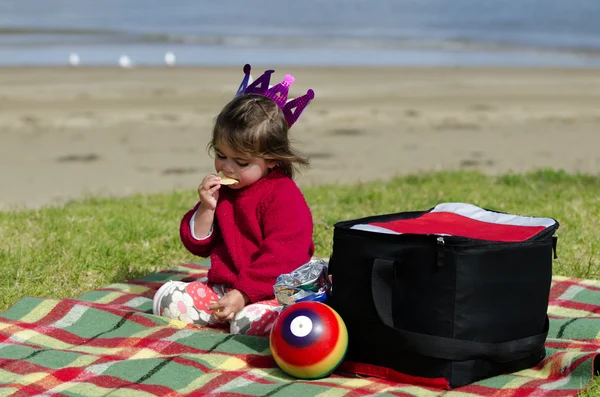 Kind op een picknick — Stockfoto