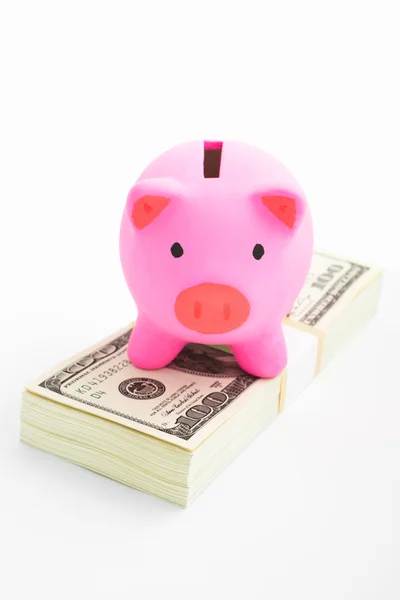 Piggy bank en dollar — Stockfoto