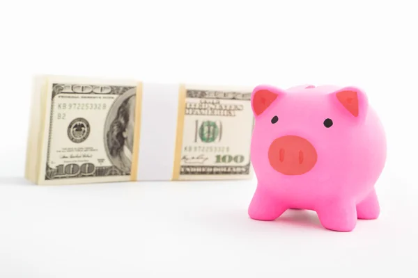 Банк свиней и доллар — стоковое фото