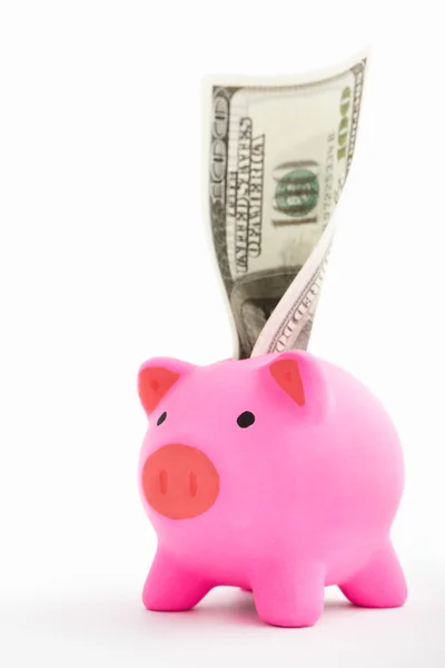 Банк свиней и доллар — стоковое фото