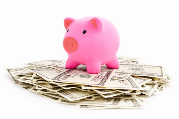 Piggy bank op dollar stack — Stockfoto