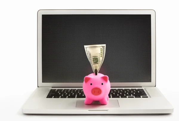 stock image Piggy bank on laptop