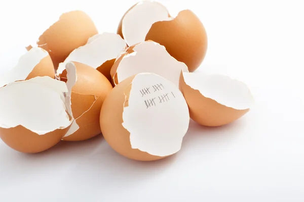 Huevo incubado — Foto de Stock
