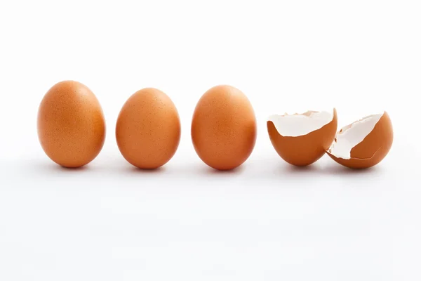 Ausgebrütete und nicht ausgebrütete Eier — Stockfoto