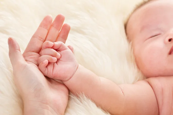 Mão do bebê na palma da mãe — Fotografia de Stock