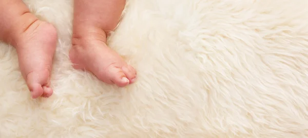 stock image Baby's feet