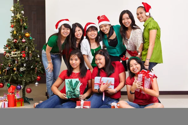 Karácsonyi csoport szemcsésedik, ázsiai — Stock Fotó