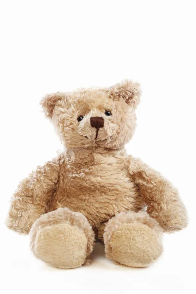 Teddy bear doll — Stock Photo, Image