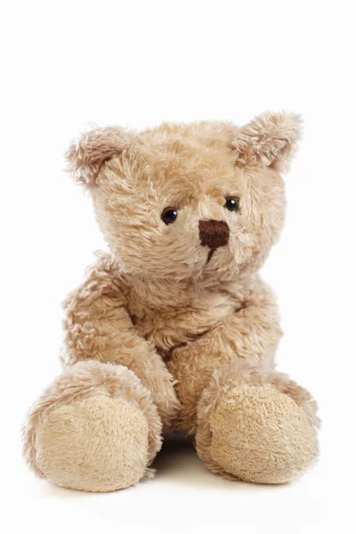 Teddy urso boneca — Fotografia de Stock