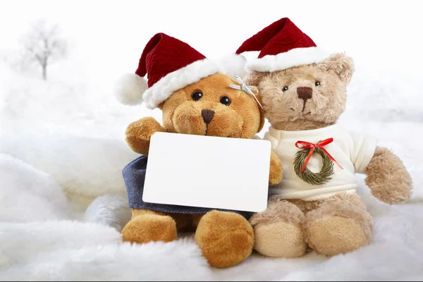 Ursos de Natal — Fotografia de Stock