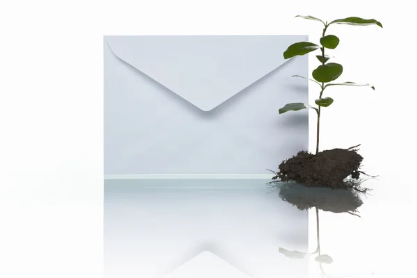 Mail and green plant — Stock Photo, Image