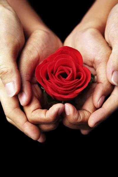 Ręce, trzymając czerwona róża — Zdjęcie stockowe