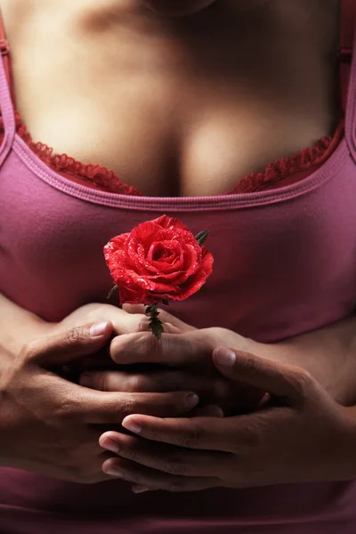 Dos manos sosteniendo rosa roja delante del cuerpo de la mujer — Foto de Stock