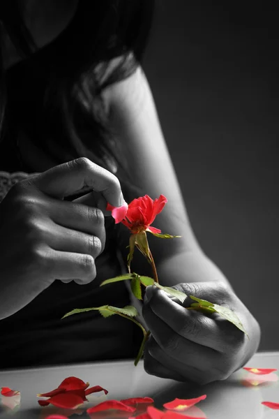 Разбитое сердце девушка собирает лепестки роз — стоковое фото
