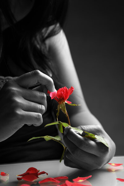Разбитое сердце девушка собирает лепестки роз
