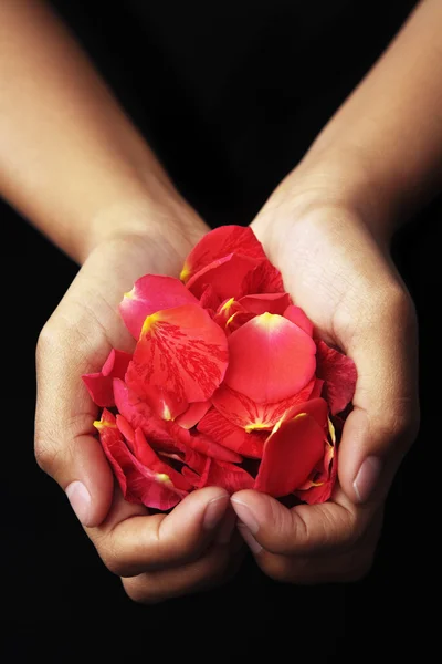 Hand holding red rose petals — Stock Photo, Image