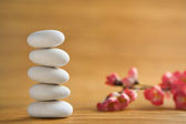 Zen kő mint háttér piros virággal