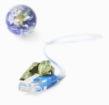 Turtle on LAN that disconnected from the world clipart