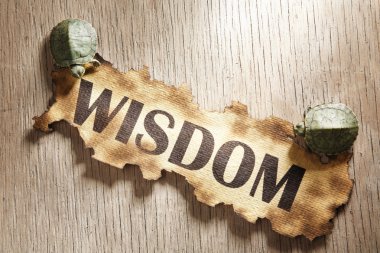 Wisdom concept clipart