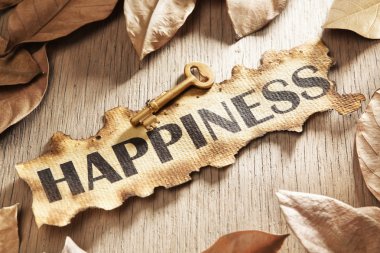 Key to happiness concept clipart