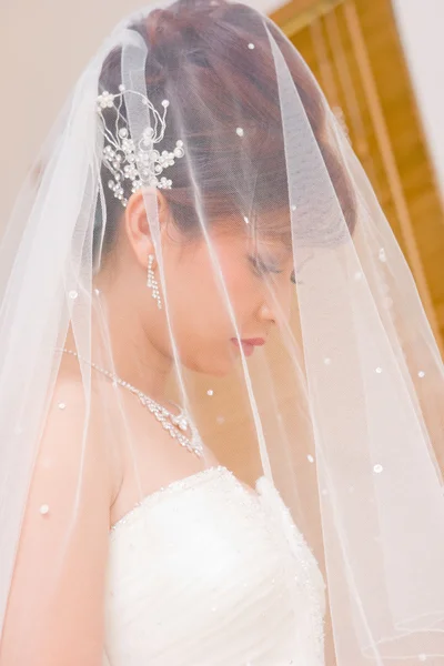 Stock image Close up bride to be hidden in veil