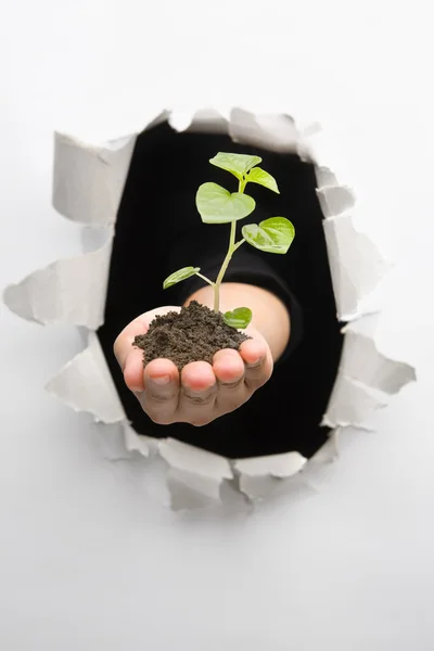 Breakthrough in environment innovation — Stock Photo, Image