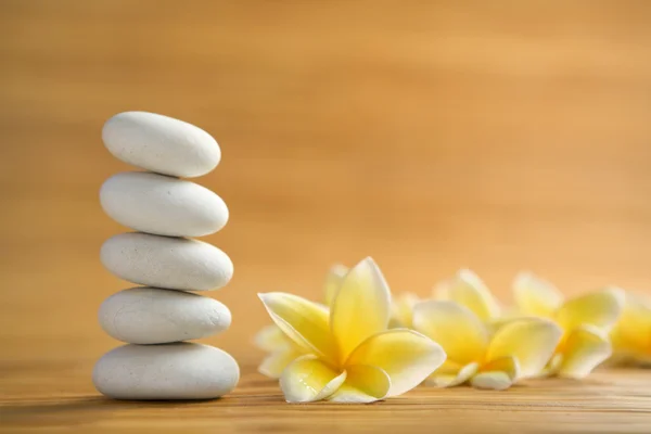 Zen stone and frangipani — Stock Photo, Image