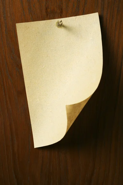 Пергамент, прибитый к деревянной доске — стоковое фото