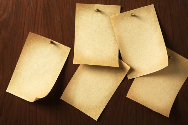 Группа пергаментов, прибитых к деревянной доске — стоковое фото