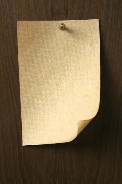 Pergament spikade på träskiva — Stockfoto