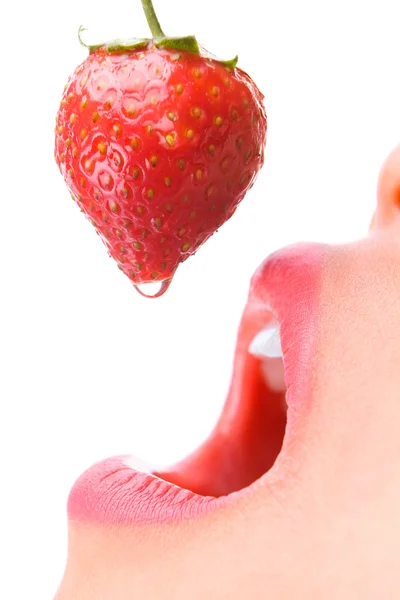 Manger des fraises — Photo