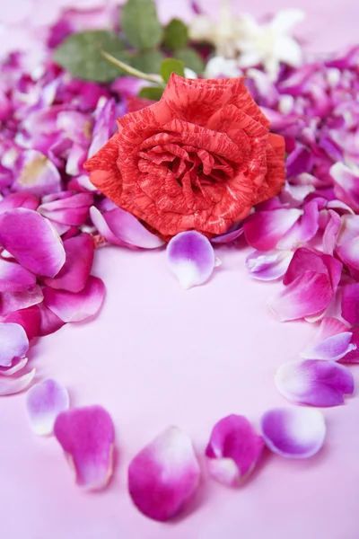 Rose en roos bloemblad — Stockfoto