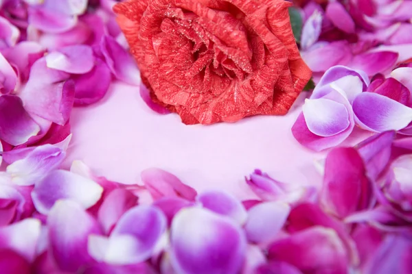 Kelopak mawar mengelilingi kertas kecil berwarna merah muda — Stok Foto
