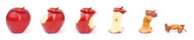 Apple in a sequence from fresh till dried clipart