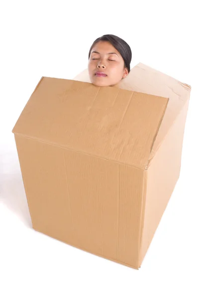 Sleeping inside the box — Stock Photo, Image