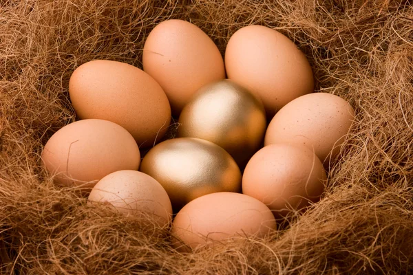 Серія яєць: ймовірність 2: 8 - збільшення — стокове фото