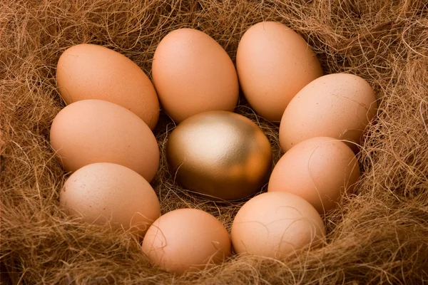 Яйцо серии: одна золотая между девятью ординарными - зум — стоковое фото