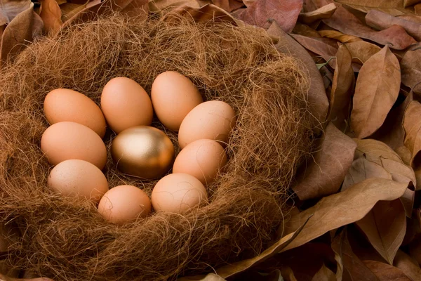 Серия яиц: Будь другим (с фоном) ) — стоковое фото