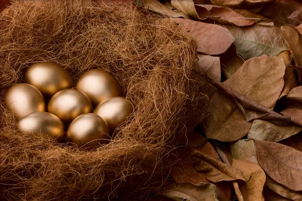 Eierserie: sieben goldene Eier (mit Hintergrund)) — Stockfoto