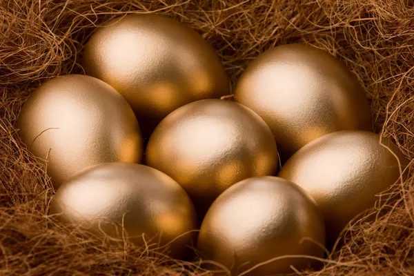 달걀 시리즈: 7 황금 달걀-줌 — 스톡 사진