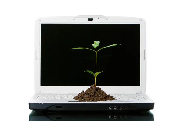 グリーン テクノロジー — ストック写真