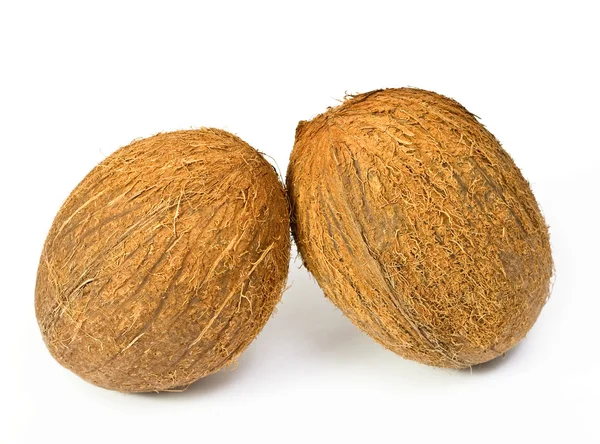 Dva kokosové ořechy — Stock fotografie