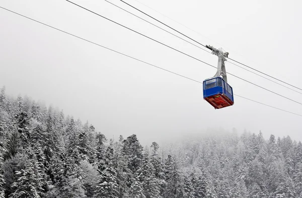 füniküler çaprazlanarak snowy orman